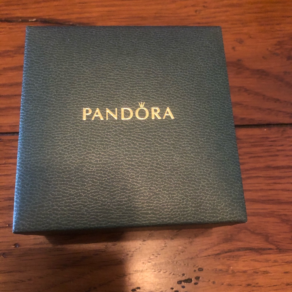 Never Worn Pandora Bangle